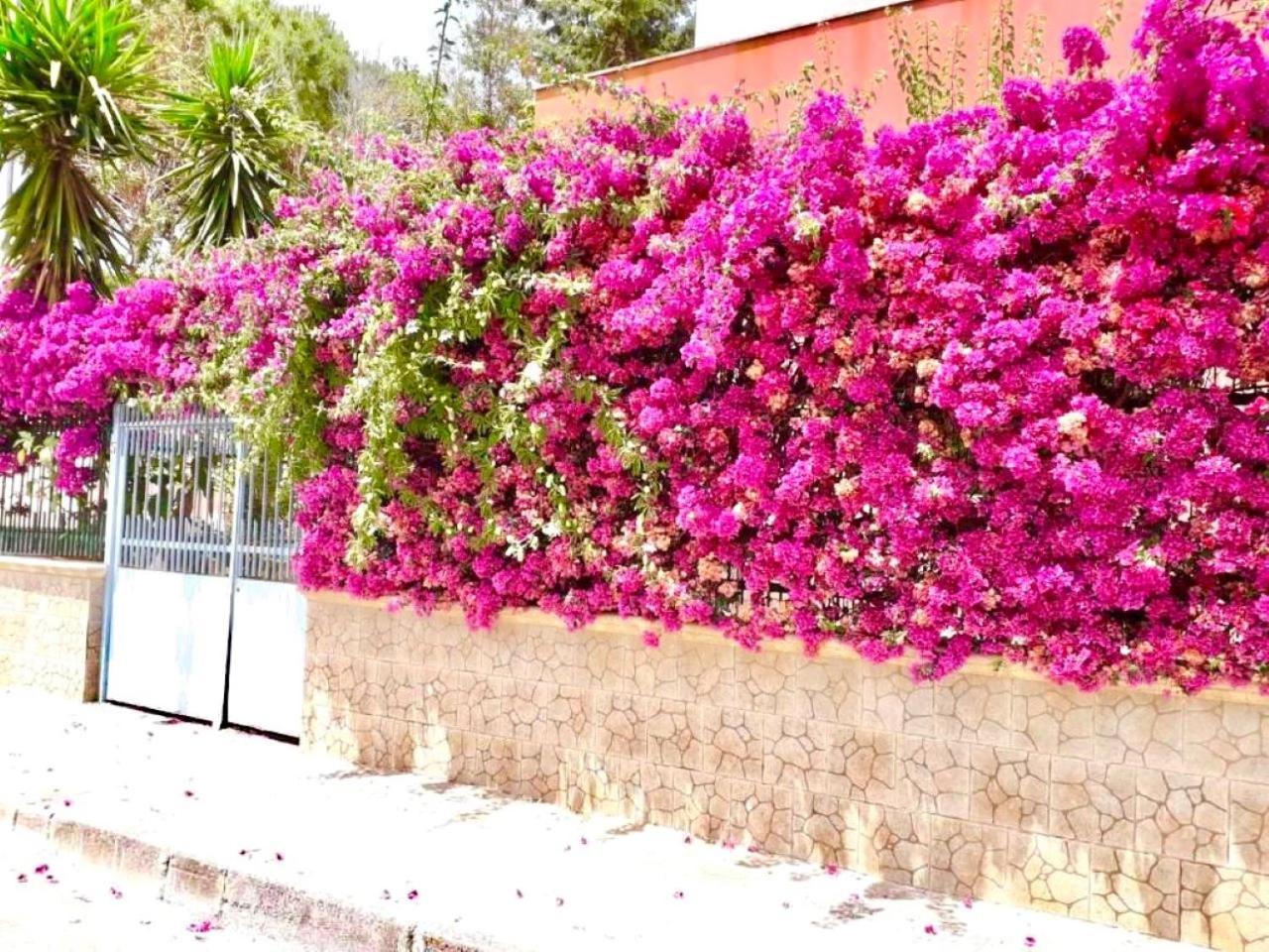 Un Posto Al Sole Apartment Brindisi Ngoại thất bức ảnh